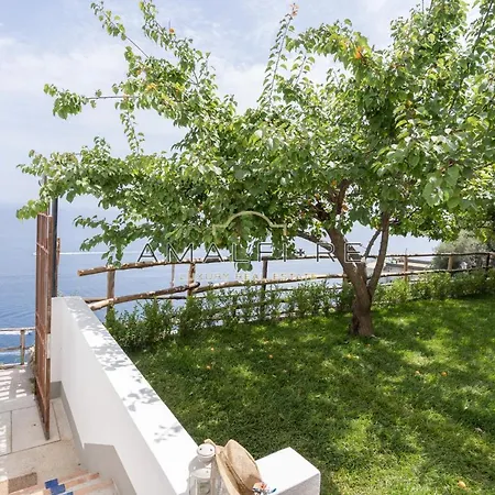 Appartement Lionetti House *